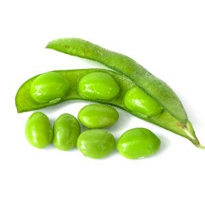 Soybean Protein - Benefits